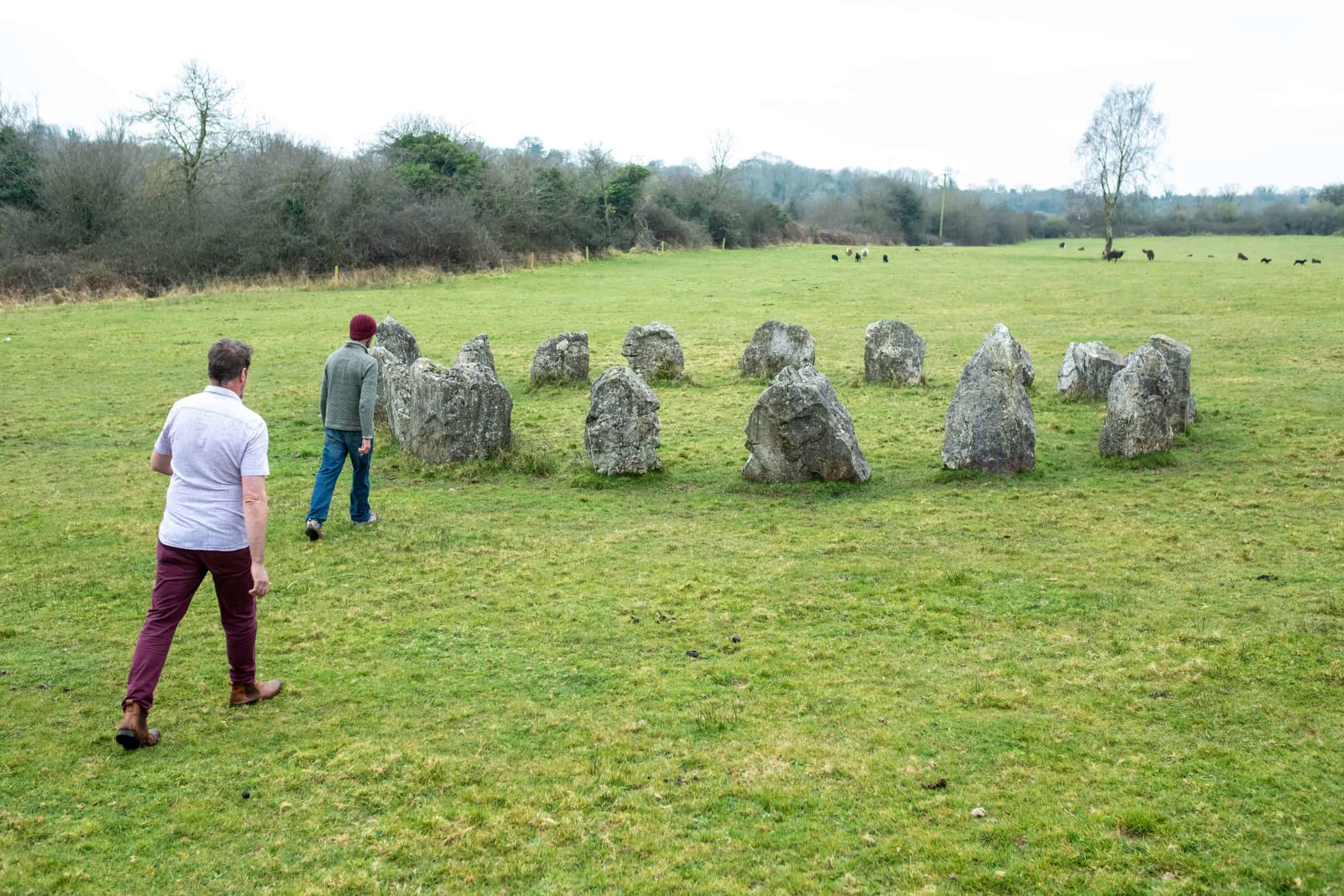 Celtic Park & Gardens Kilcornan Stone circle Shannon Estuary Way