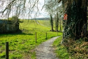Knights Walk Glin Shannon Estuary Way