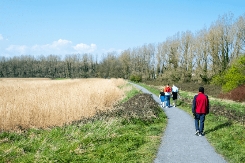 Shannon Estuary Loop Walk Shannon Estuary Way