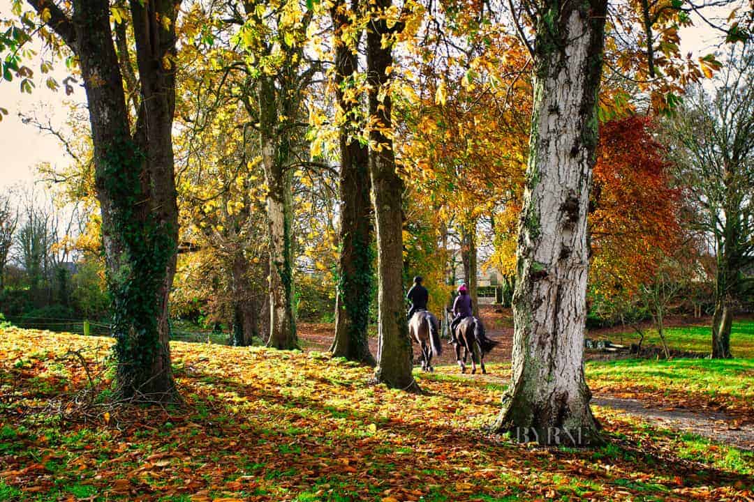 Clonshire equestrian centre
